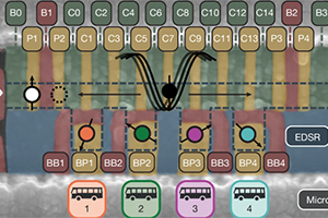 Weight-four parity checks in a spin-shuttling architecture